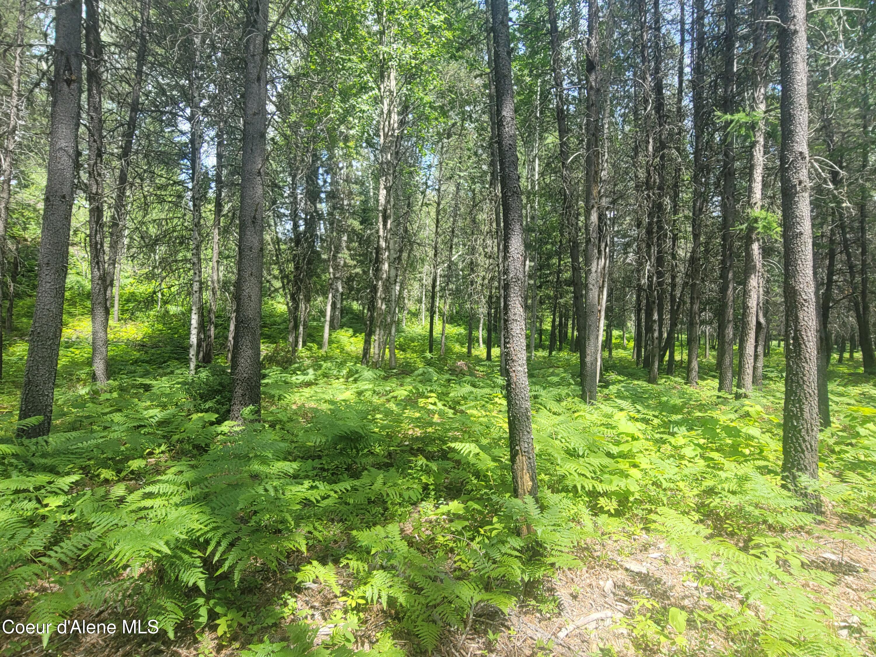 150 Ranch Road Naples, ID 83847 - Photo 12 of 33 20250626_120118