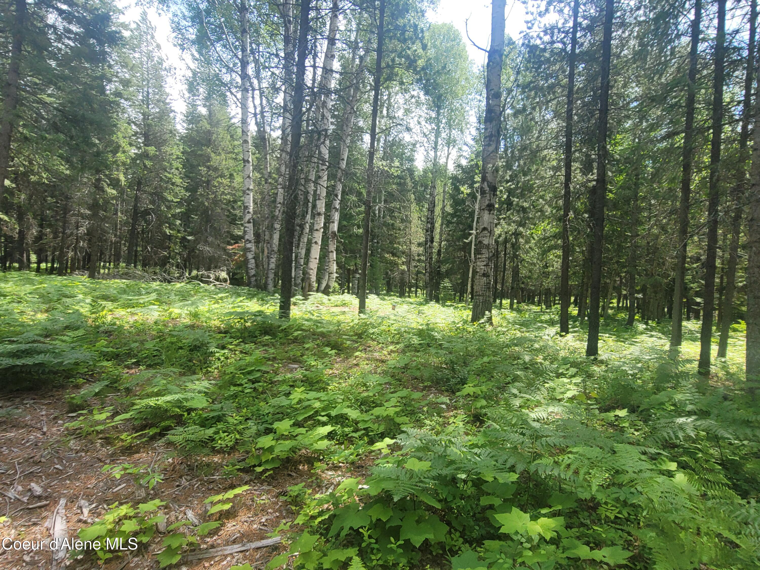 150 Ranch Road Naples, ID 83847 - Photo 13 of 33 20250626_120135