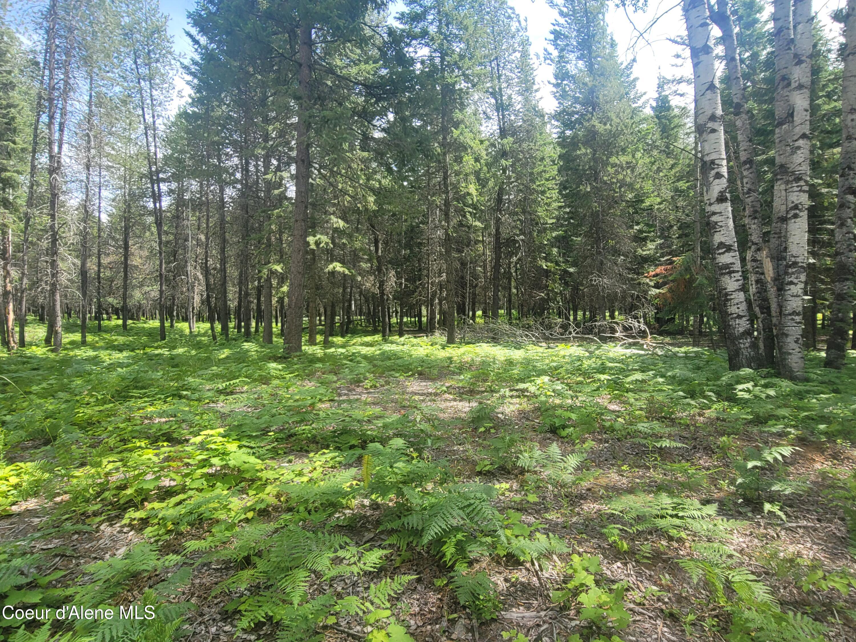 150 Ranch Road Naples, ID 83847 - Photo 14 of 33 20250626_120149