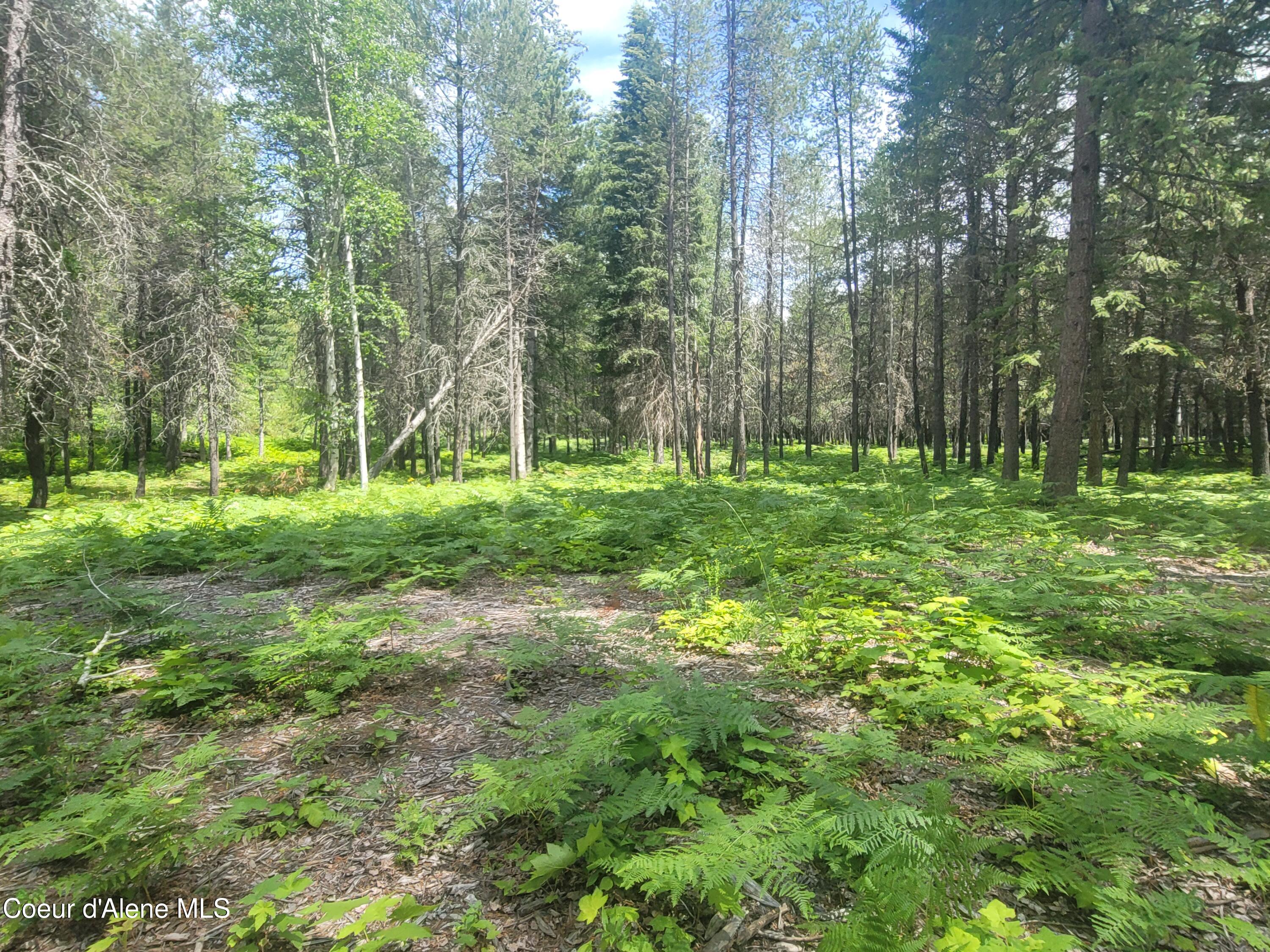 150 Ranch Road Naples, ID 83847 - Photo 15 of 33 20250626_120150