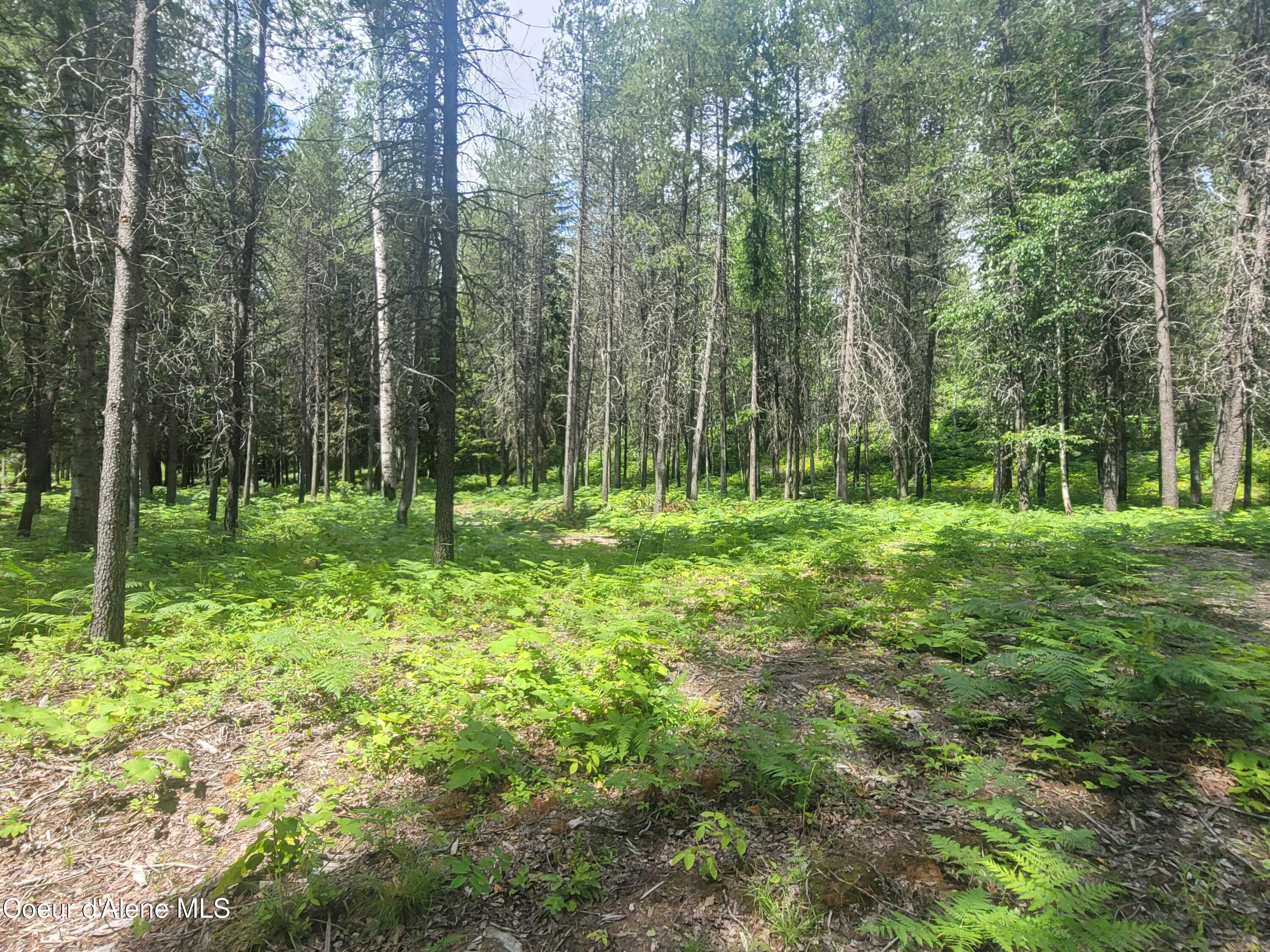 150 Ranch Road Naples, ID 83847 - Photo 16 of 33 20250626_120201