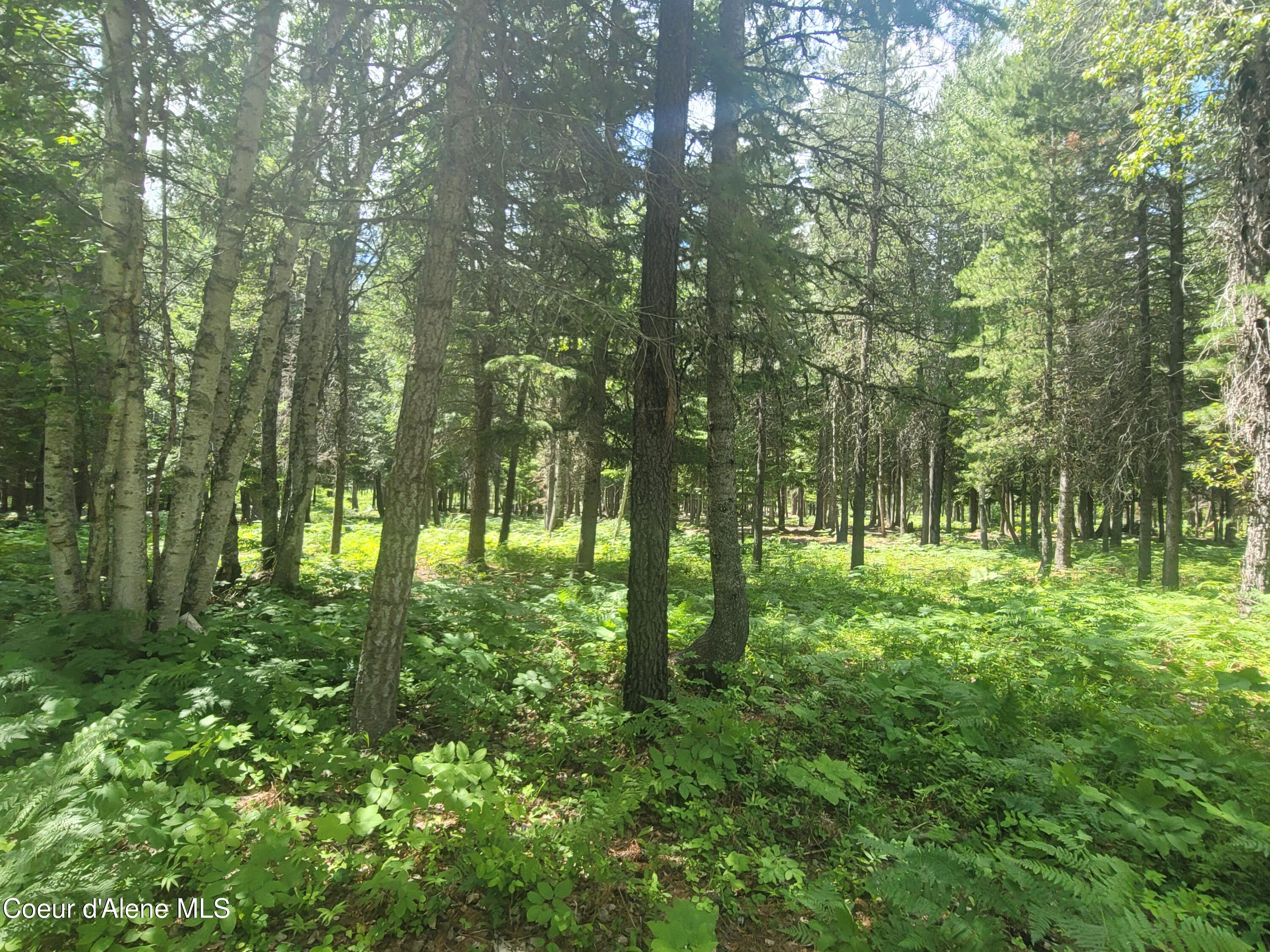 150 Ranch Road Naples, ID 83847 - Photo 19 of 33 20250626_120252