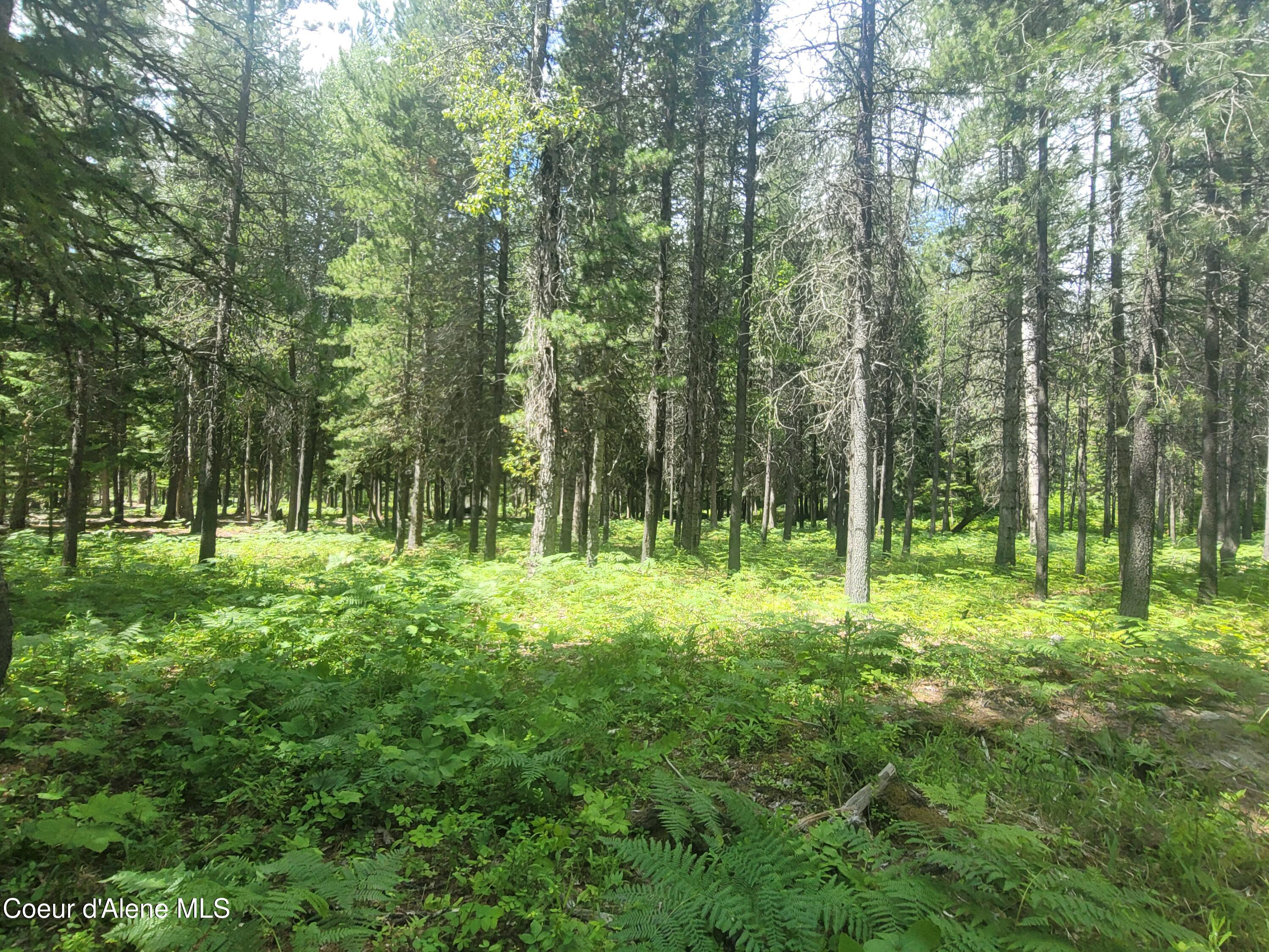 150 Ranch Road Naples, ID 83847 - Photo 20 of 33 20250626_120254