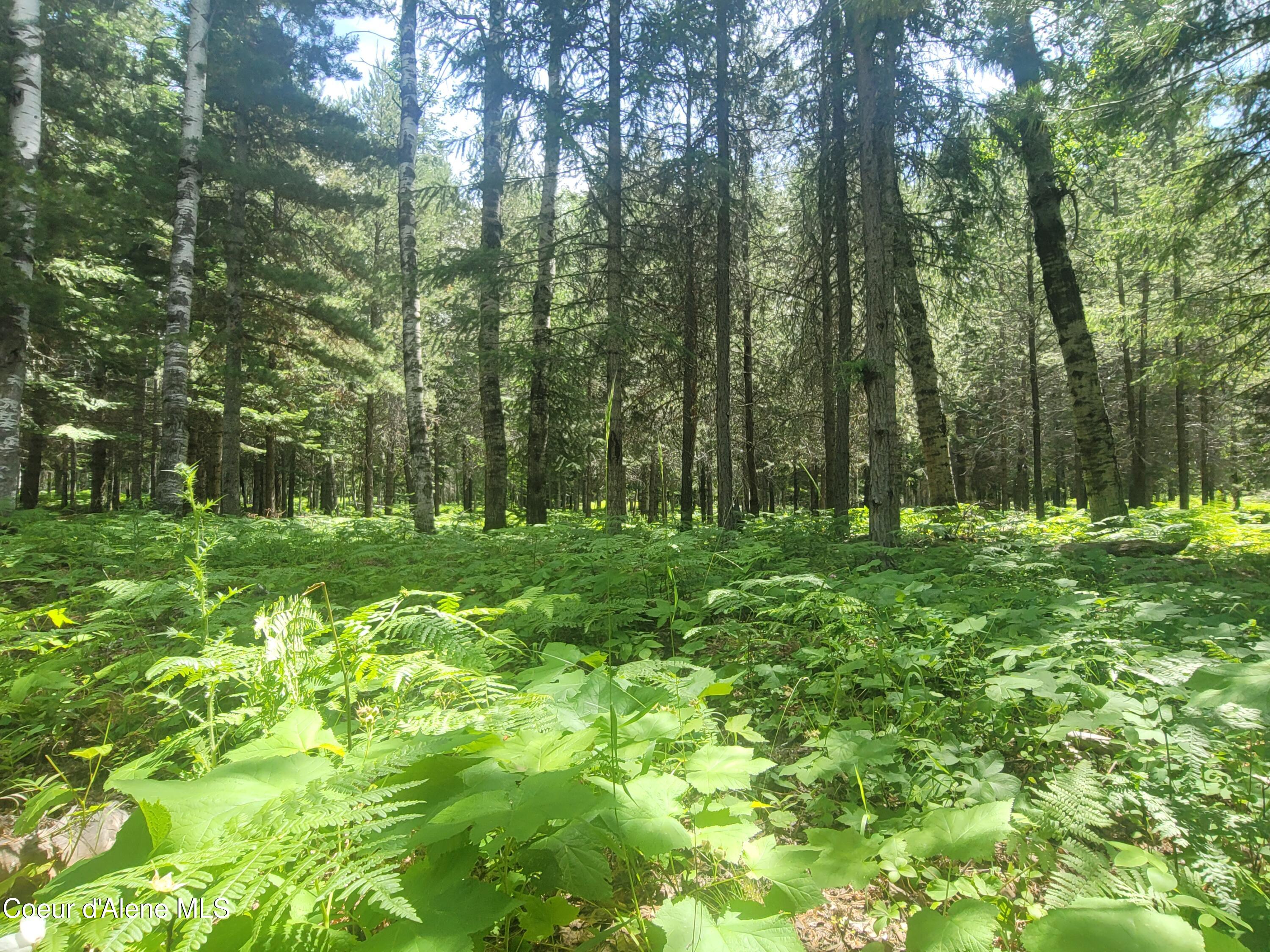 150 Ranch Road Naples, ID 83847 - Photo 21 of 33 20250626_120313