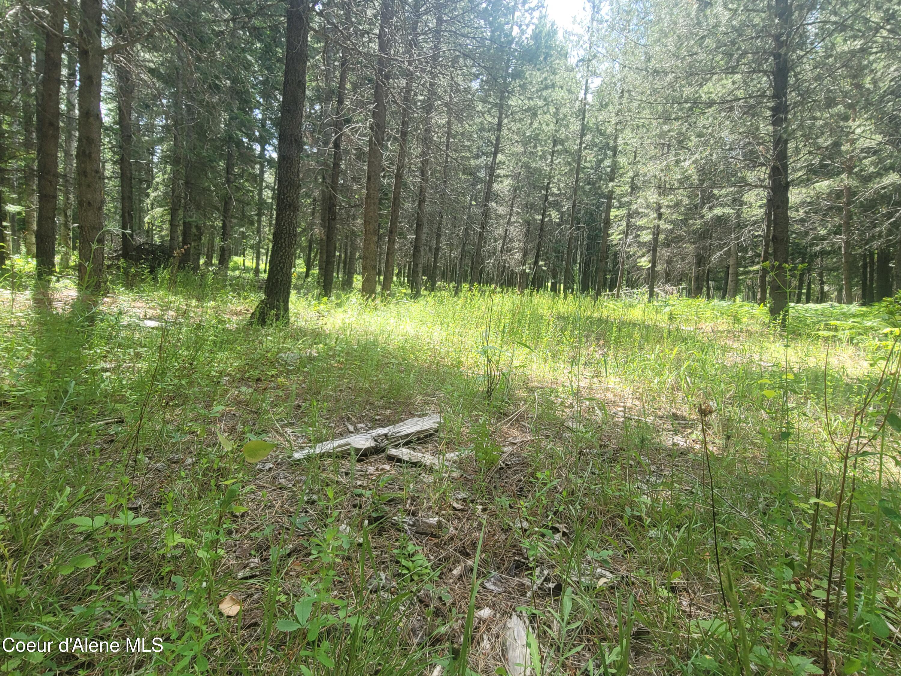 150 Ranch Road Naples, ID 83847 - Photo 22 of 33 20250626_120414