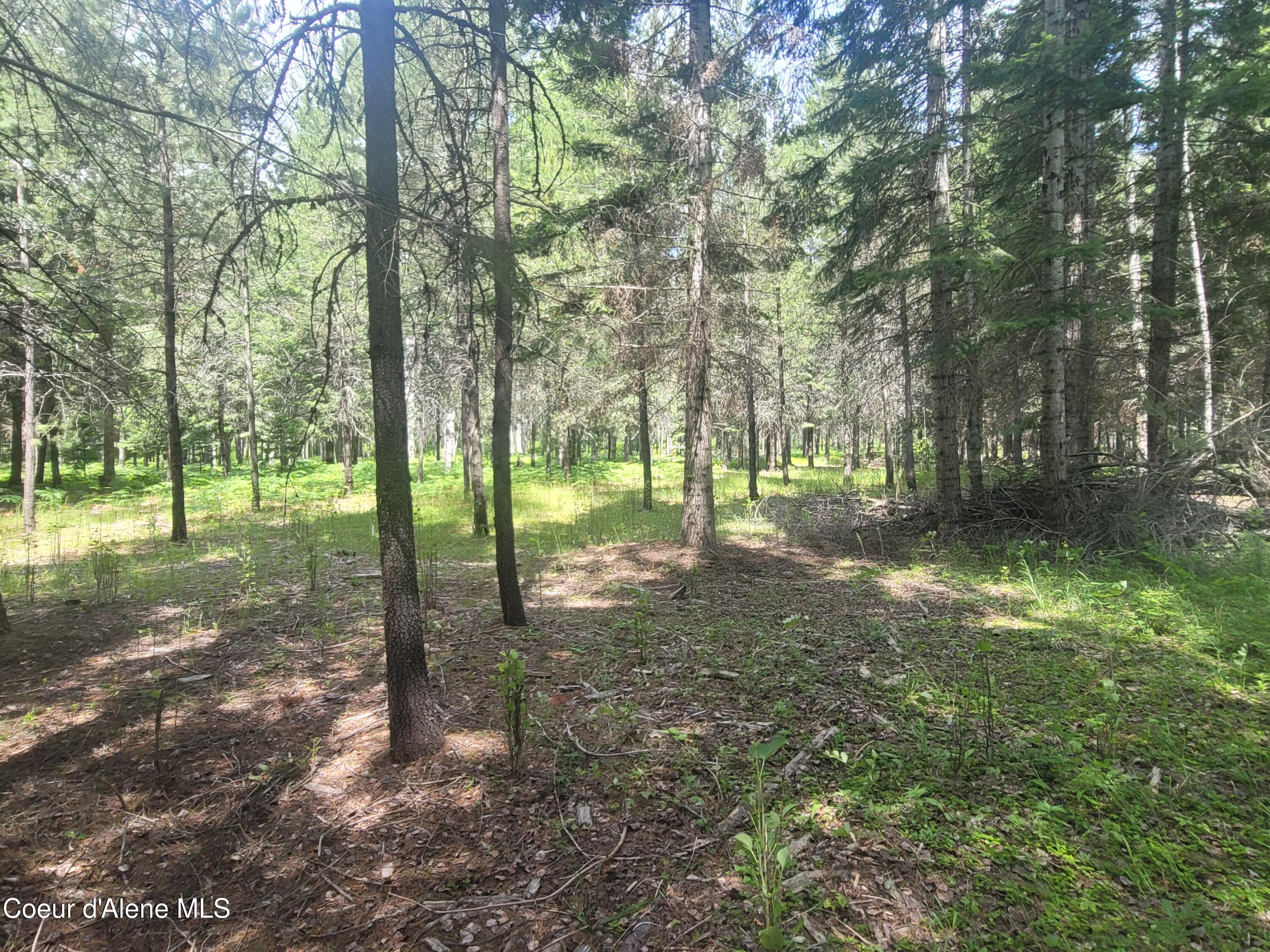 150 Ranch Road Naples, ID 83847 - Photo 23 of 33 20250626_120509