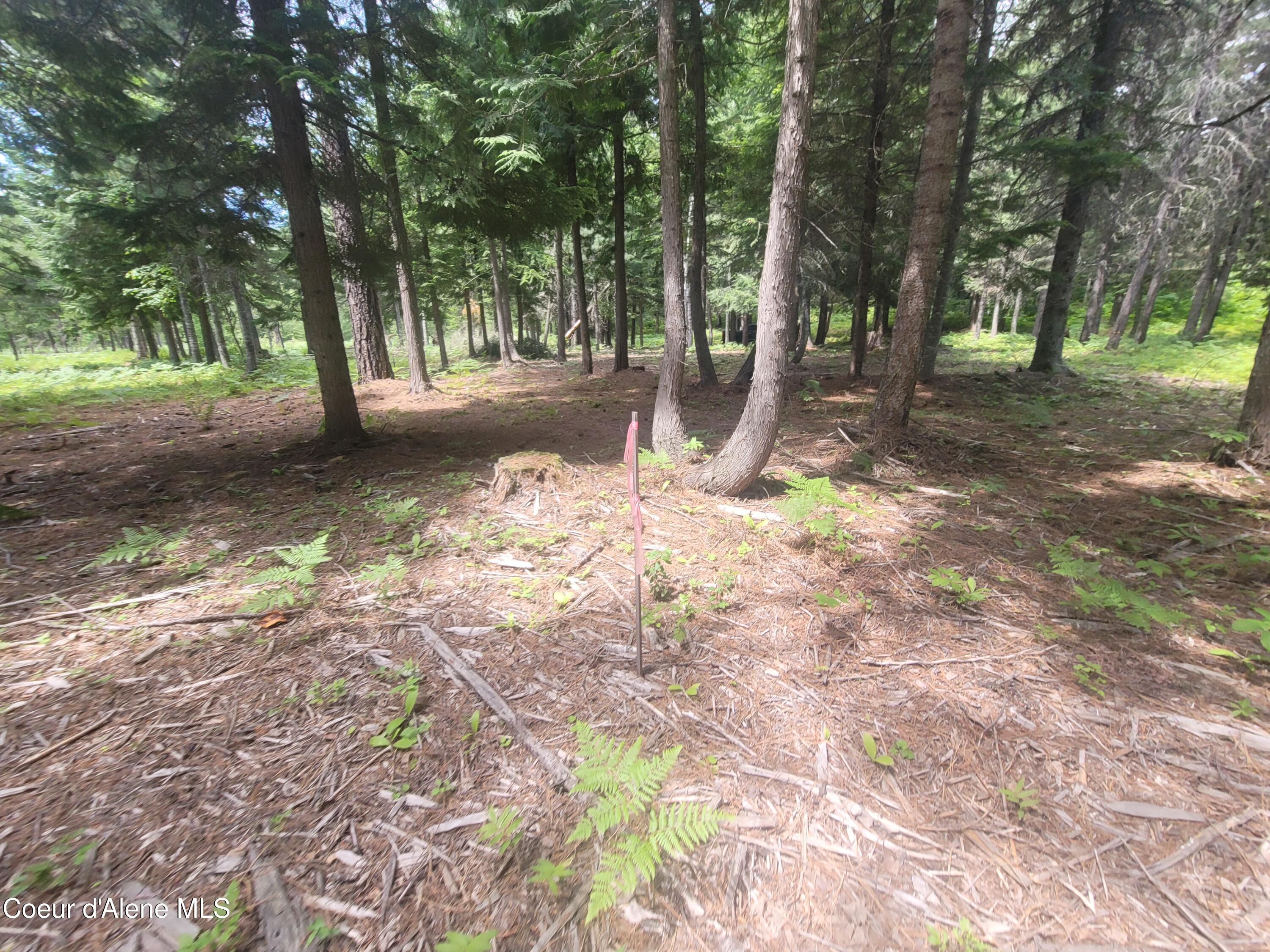 150 Ranch Road Naples, ID 83847 - Photo 24 of 33 20250626_120815