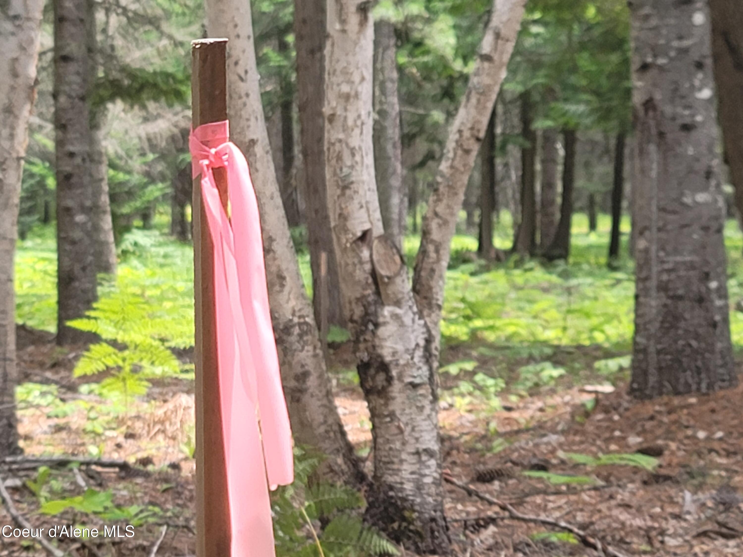 150 Ranch Road Naples, ID 83847 - Photo 25 of 33 Property Lines Surveyed