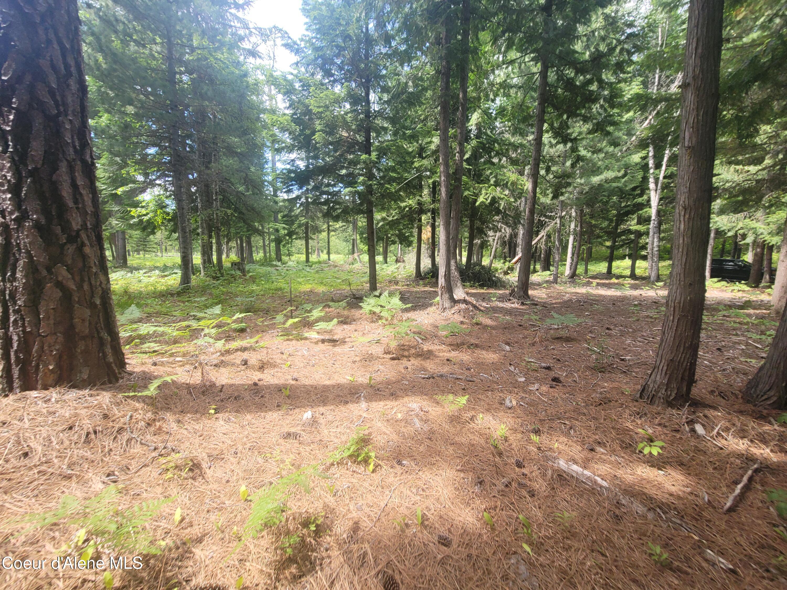 150 Ranch Road Naples, ID 83847 - Photo 26 of 33 20250626_120846