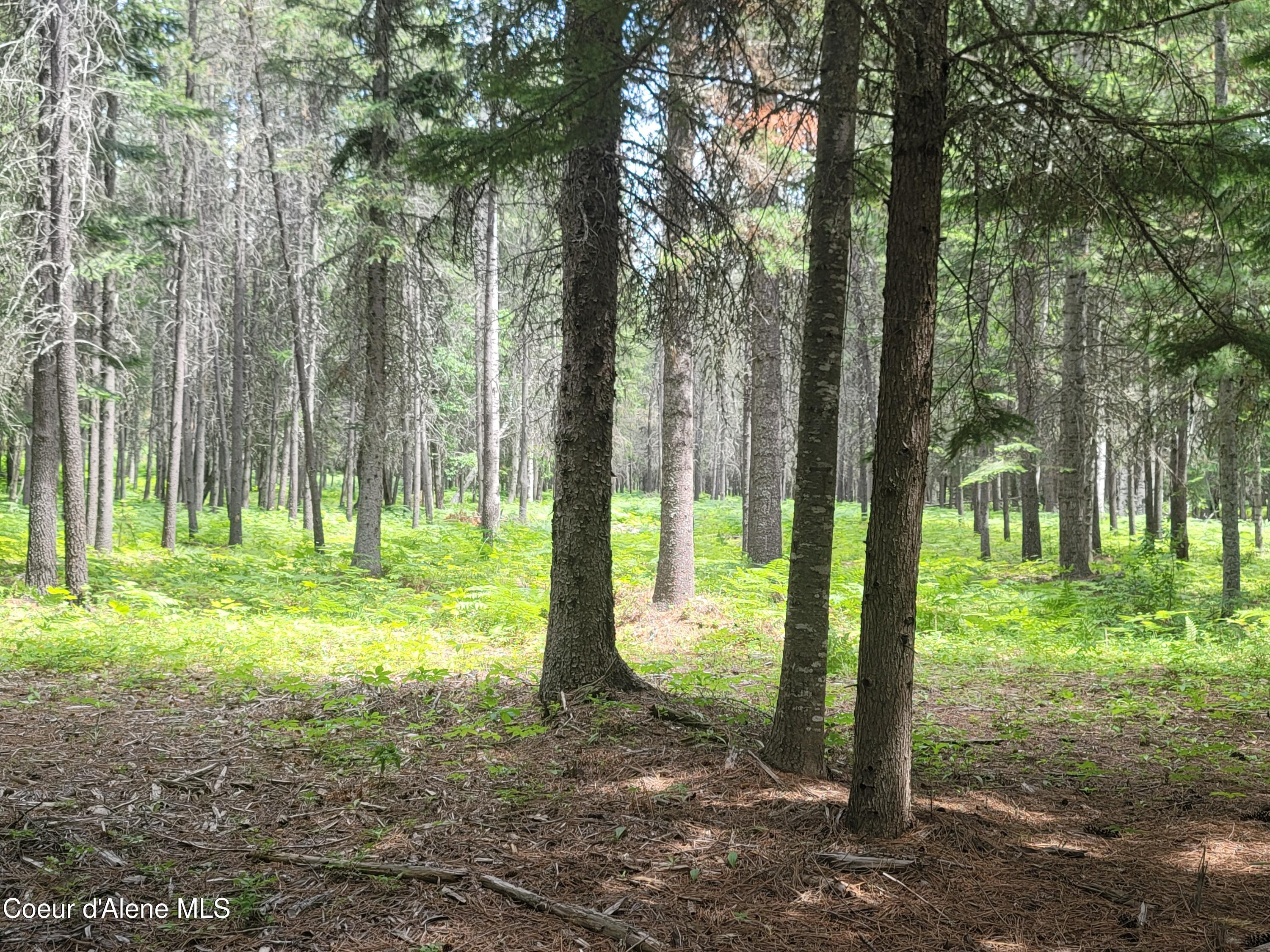 150 Ranch Road Naples, ID 83847 - Photo 27 of 33 20250626_120855