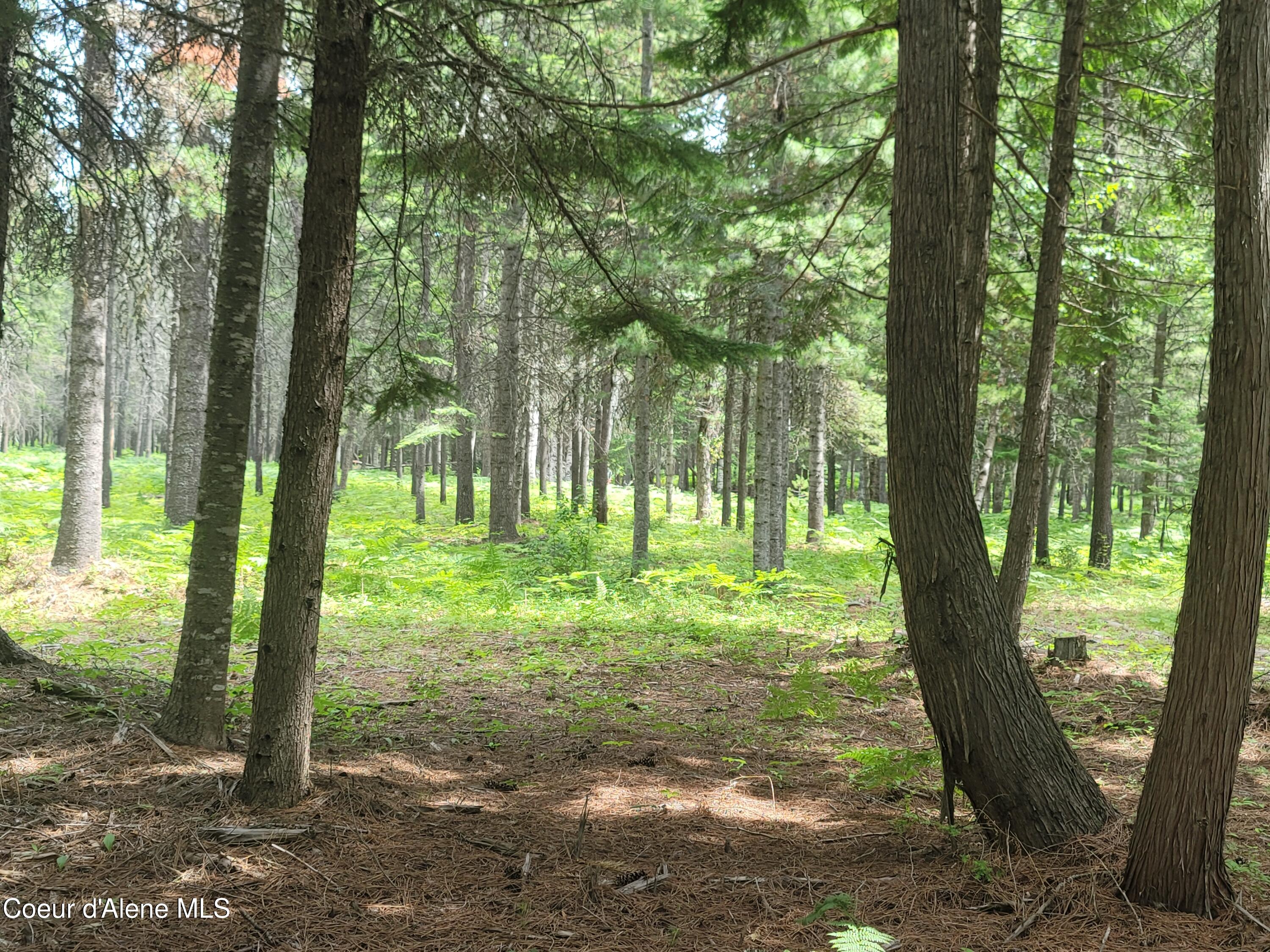 150 Ranch Road Naples, ID 83847 - Photo 28 of 33 20250626_120857
