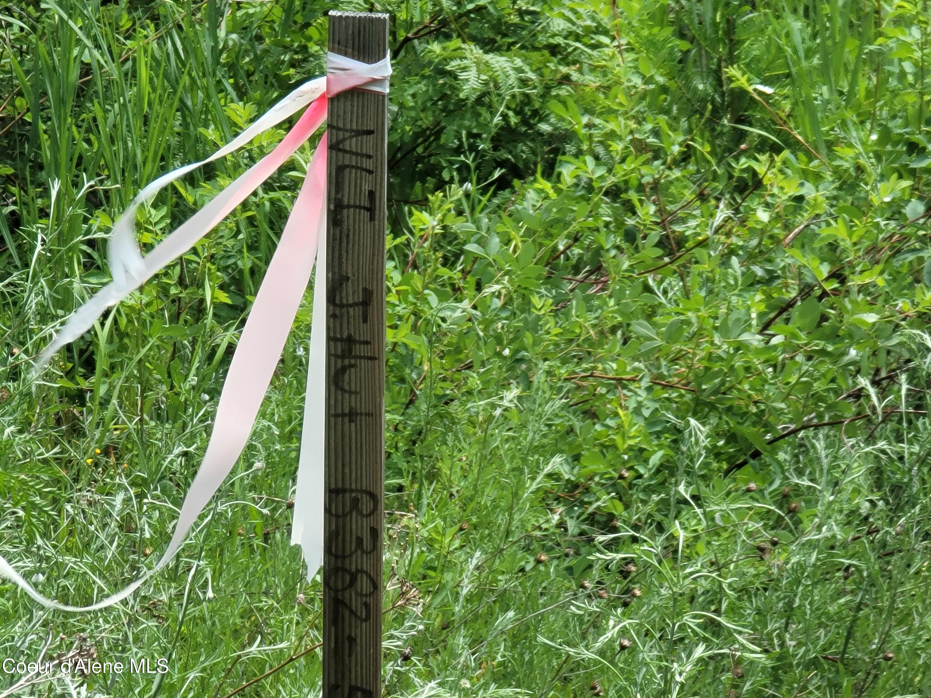 150 Ranch Road Naples, ID 83847 - Photo 29 of 33 Surveyed