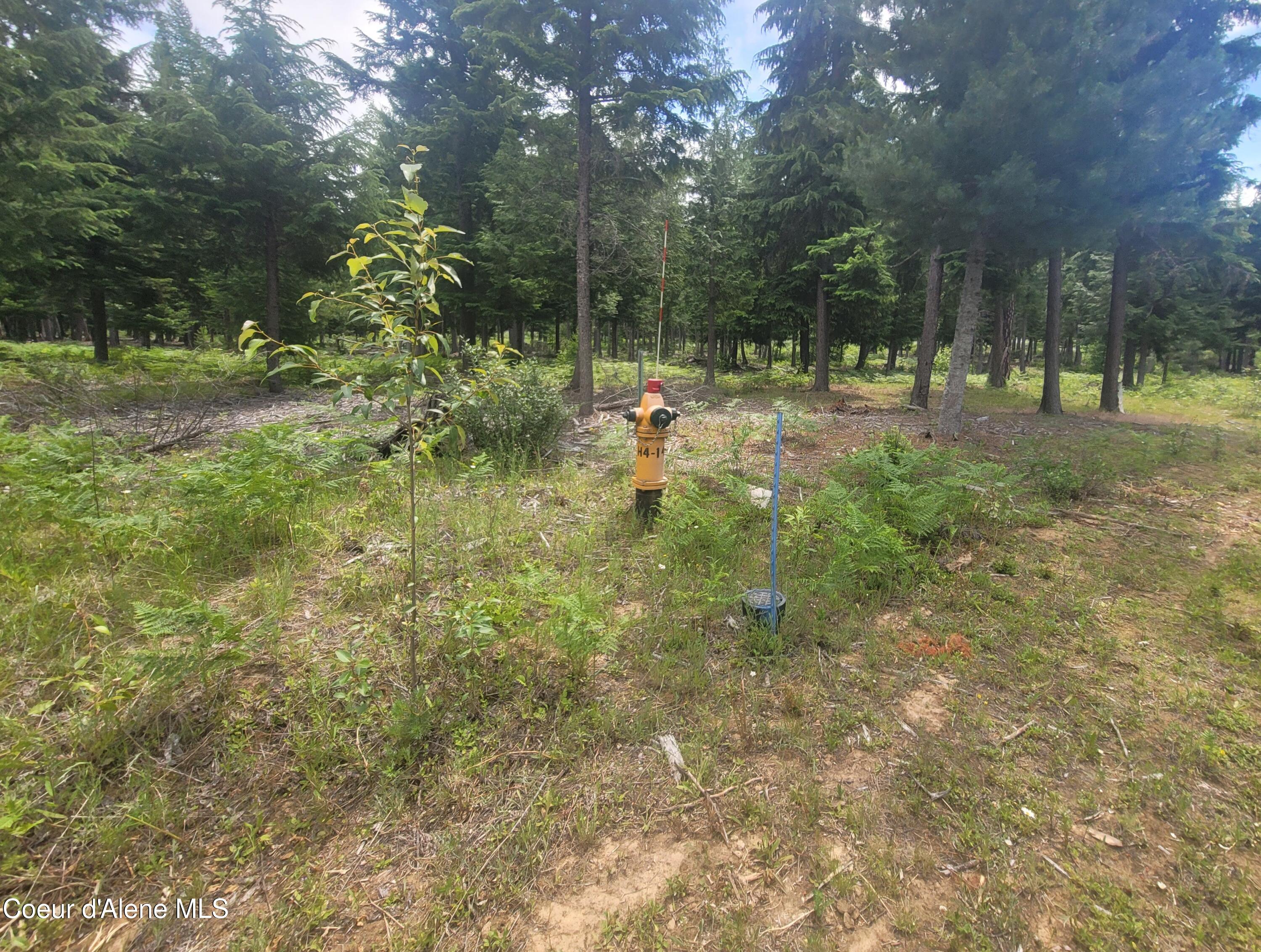 150 Ranch Road Naples, ID 83847 - Photo 30 of 33 Fire Hydrants