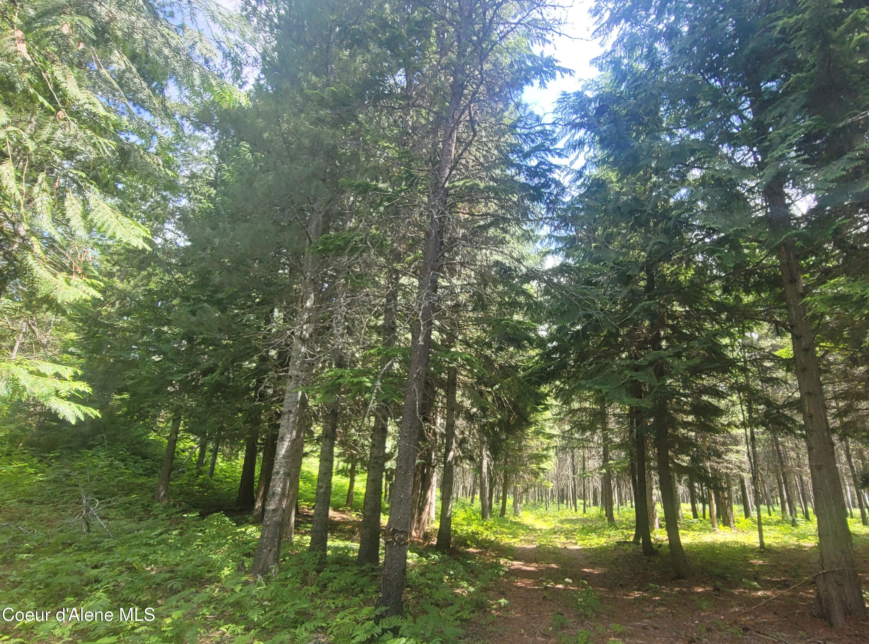 150 Ranch Road Naples, ID 83847 - Photo 8 of 33 20250626_120014