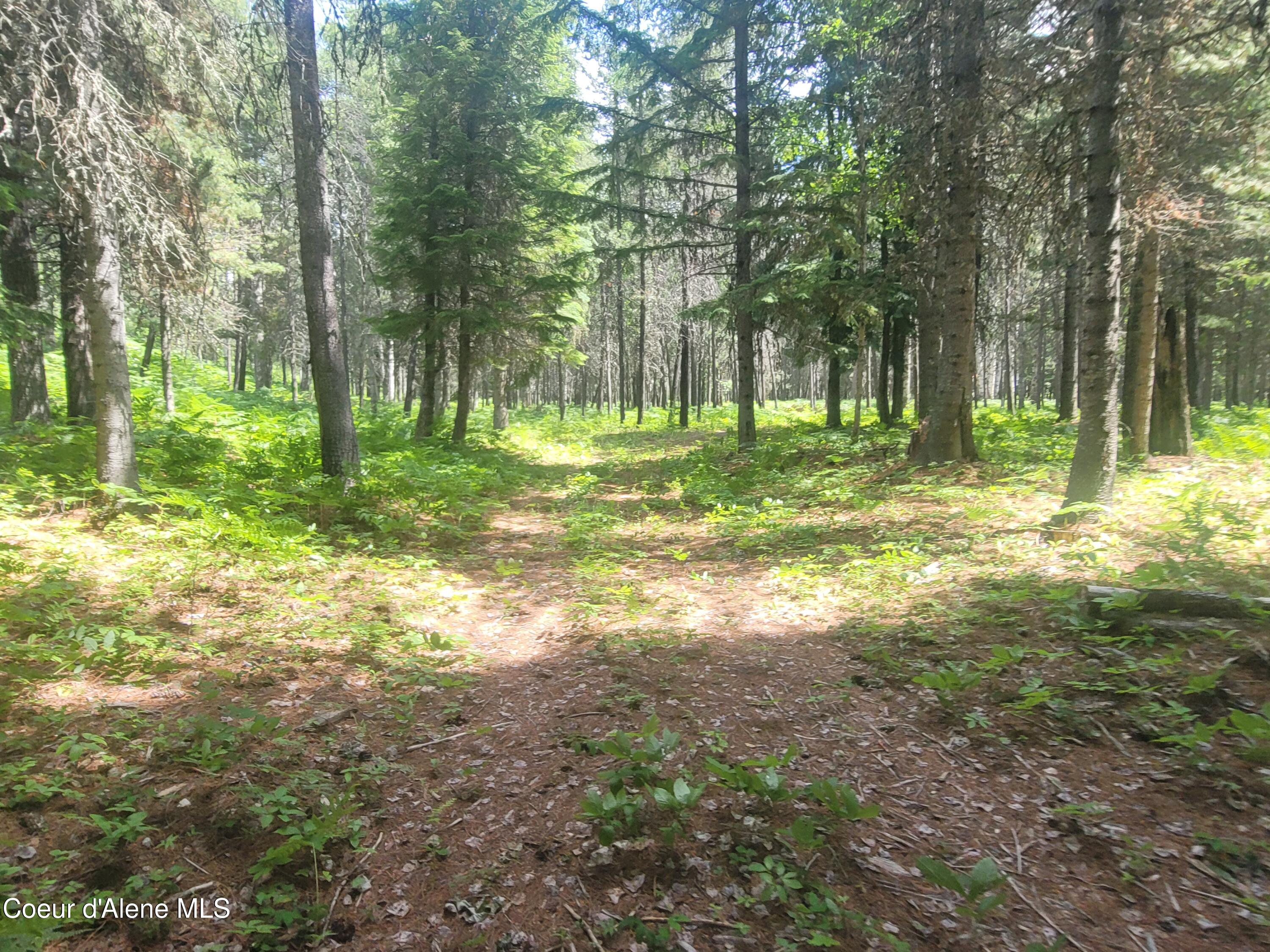 150 Ranch Road Naples, ID 83847 - Photo 10 of 33 20250626_120034