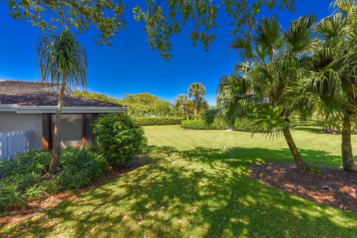 3736 Freshwater Drive Jupiter, FL 33477 - Photo 24 of 28 a view of a yard with palm trees