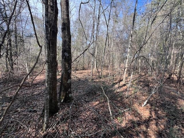 14-ac Potter Road Opp, AL 36467 - Photo 26 of 42 Gallery Image 26