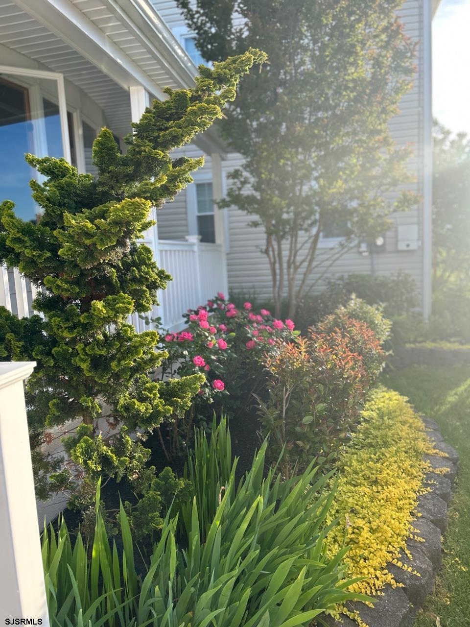 1328 Ouimet Road Brigantine, NJ 08203 - Photo 2 of 33 a vase of flowers sitting in front of a house