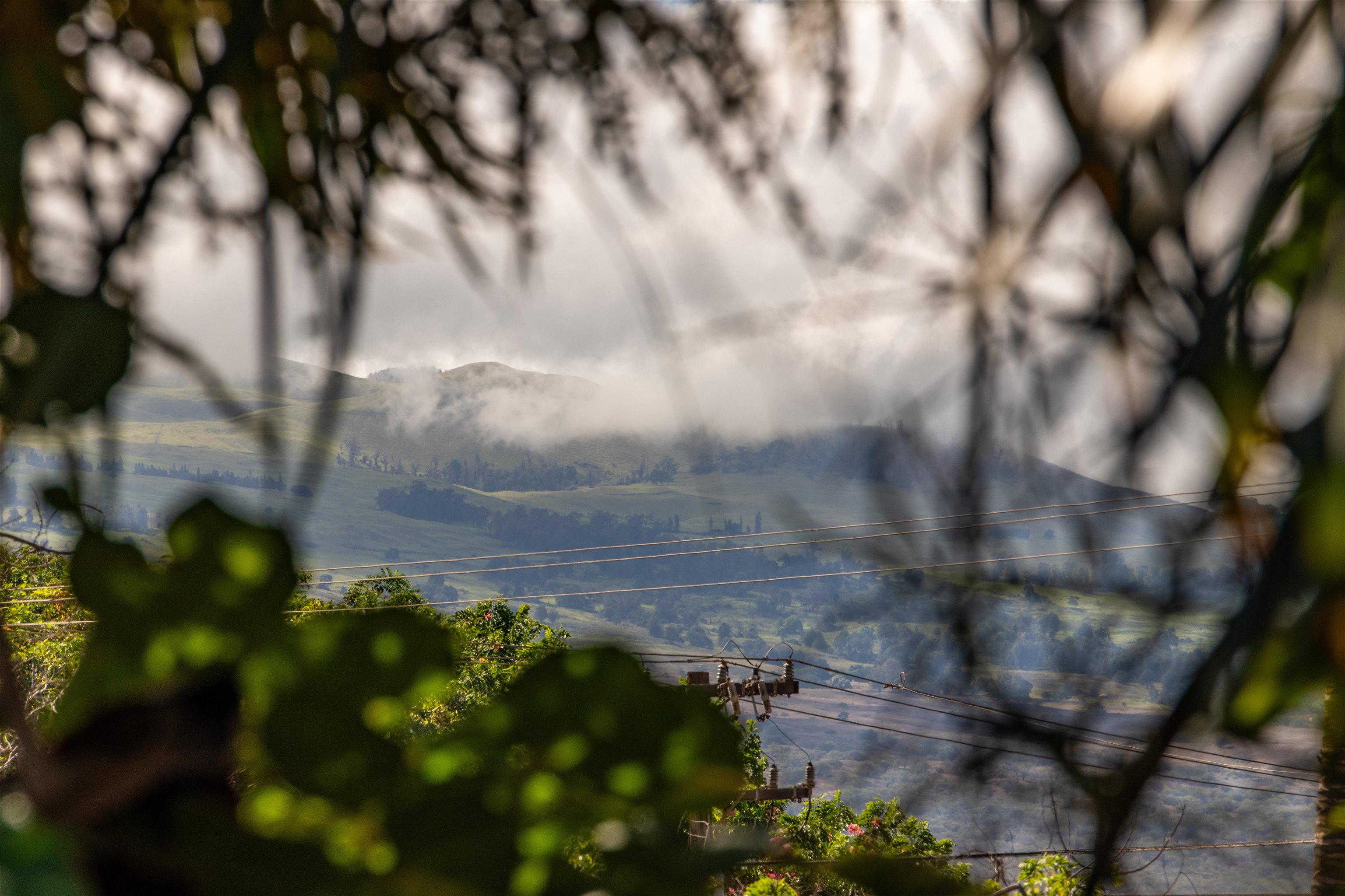 2181 Iliili Road, Unit 202 Kihei, HI 96753 - Photo 40 of 42