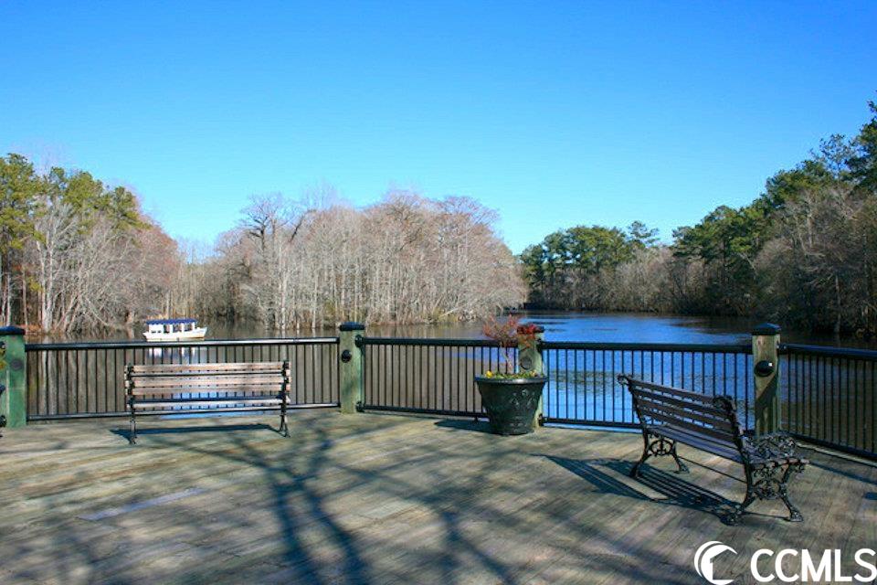 412 Hallie Martin Road Conway, SC 29527 - Photo 33 of 36 Gallery Image 33