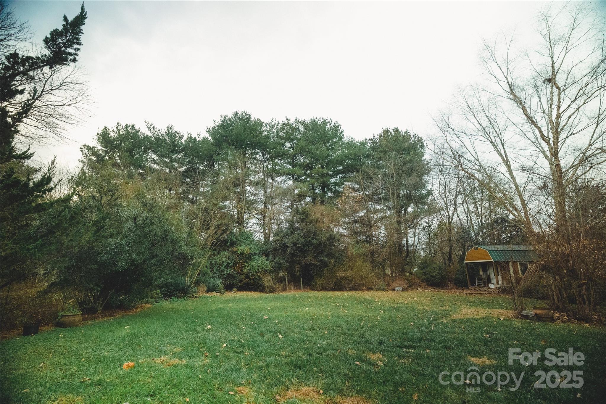 451 James Farm Road Statesville, NC 28625 - Photo 15 of 30 a view of a backyard with large trees