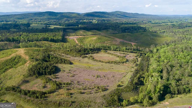 a view of a lake with a mountain and a forest
