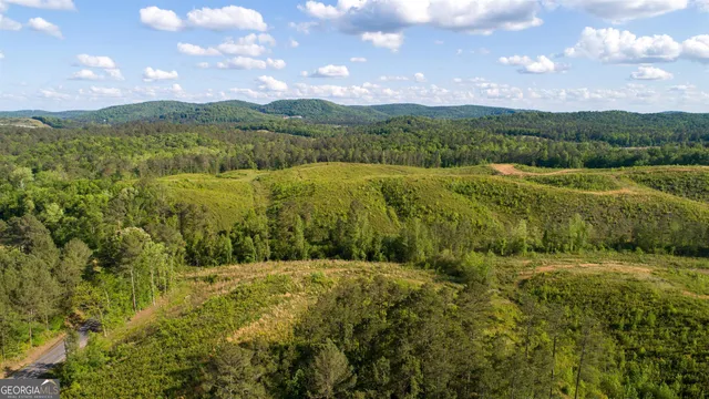 a view of an outdoor space and a yard