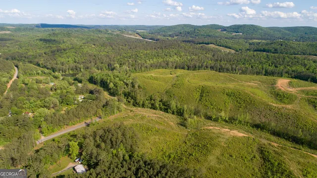 a view of a lush green forest with lush green forest