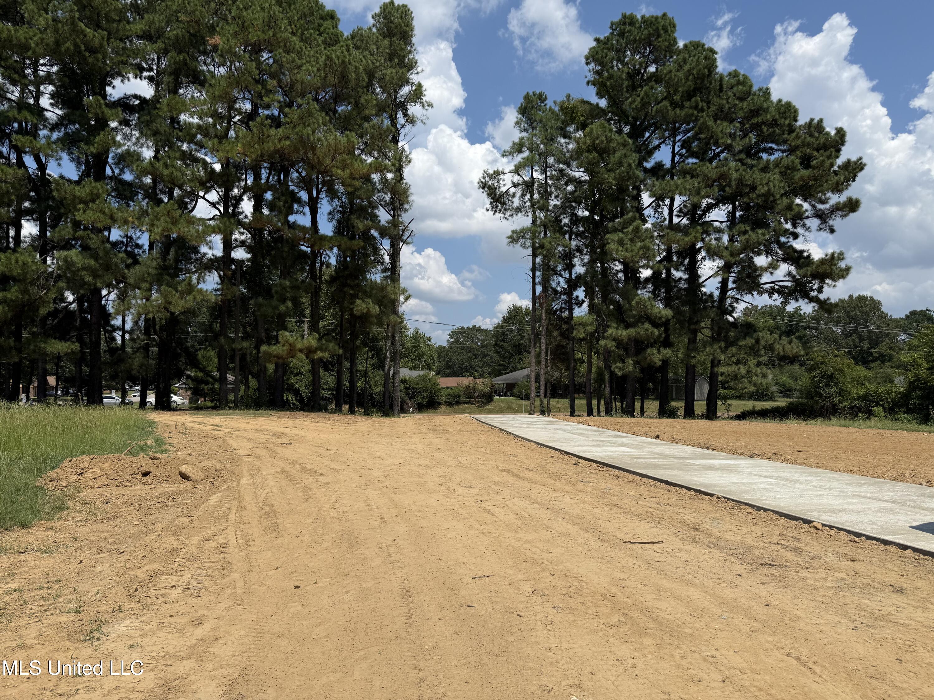 3775 Nail Road Horn Lake, MS 38637 - Photo 4 of 4 IMG_8856