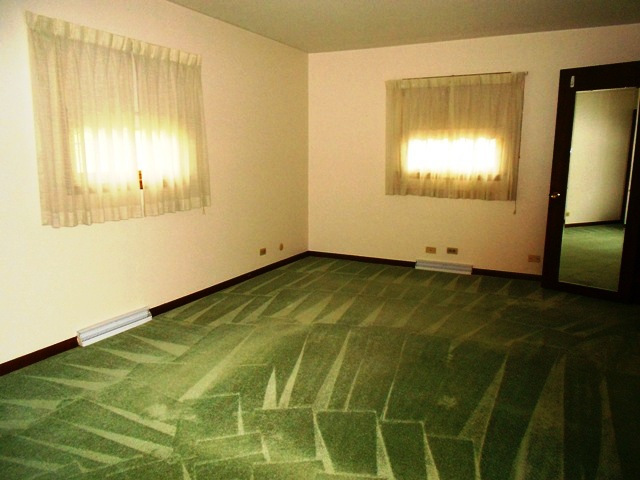 875 Ruth Drive Elgin, IL 60123 - Photo 16 of 20