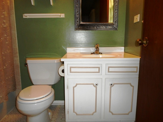 875 Ruth Drive Elgin, IL 60123 - Photo 17 of 20