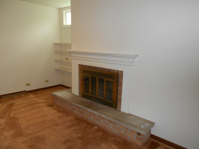 875 Ruth Drive Elgin, IL 60123 - Photo 5 of 20