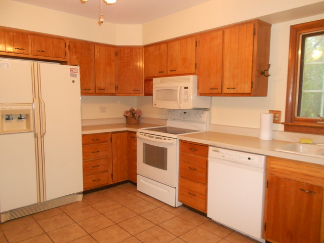 875 Ruth Drive Elgin, IL 60123 - Photo 8 of 20