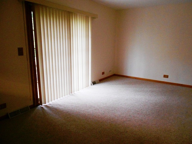 875 Ruth Drive Elgin, IL 60123 - Photo 9 of 20