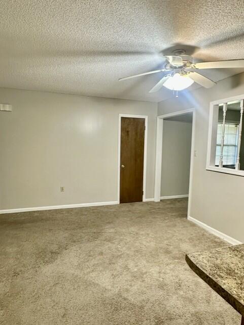 6049 Williams Road Ray City, GA 31645 - Photo 16 of 27 Gallery Image 16