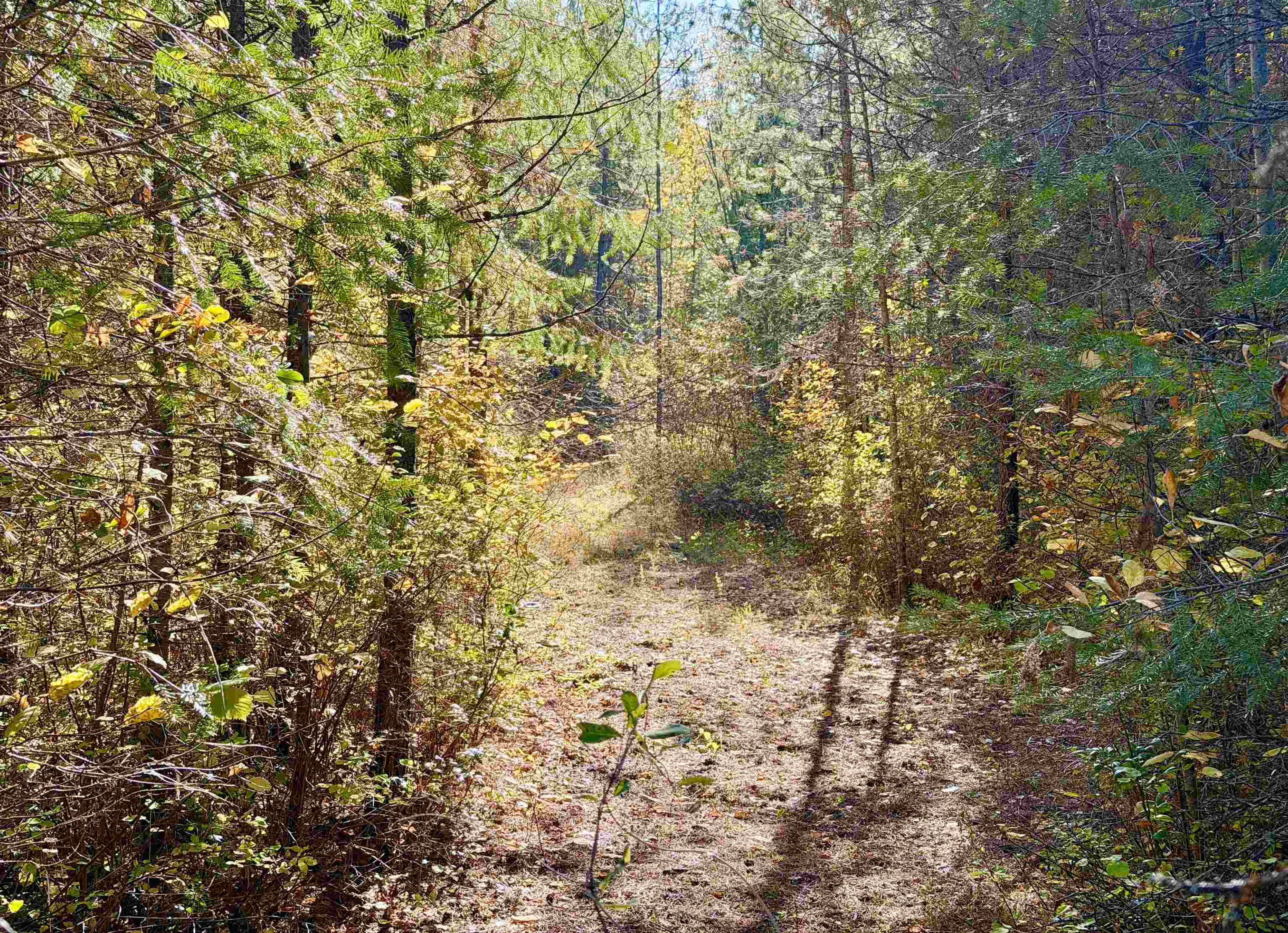 3629 Sand Creek Road Kettle Falls, WA 99141 - Photo 28 of 48