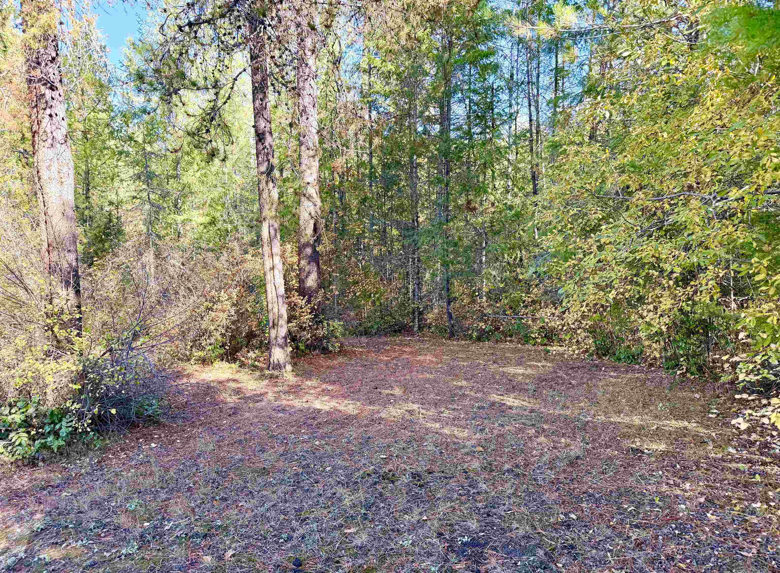 3629 Sand Creek Road Kettle Falls, WA 99141 - Photo 29 of 48