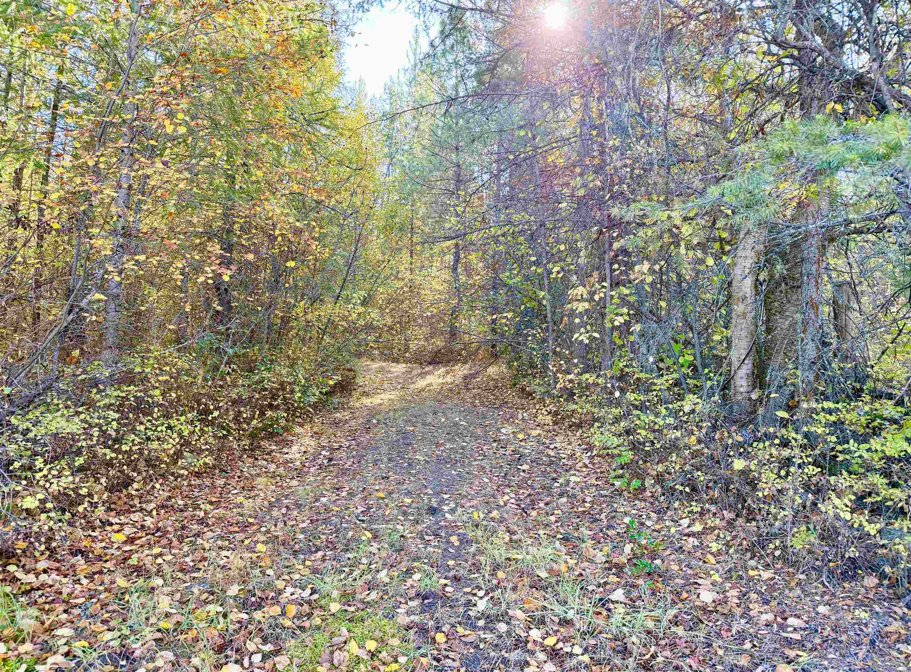 3629 Sand Creek Road Kettle Falls, WA 99141 - Photo 35 of 48