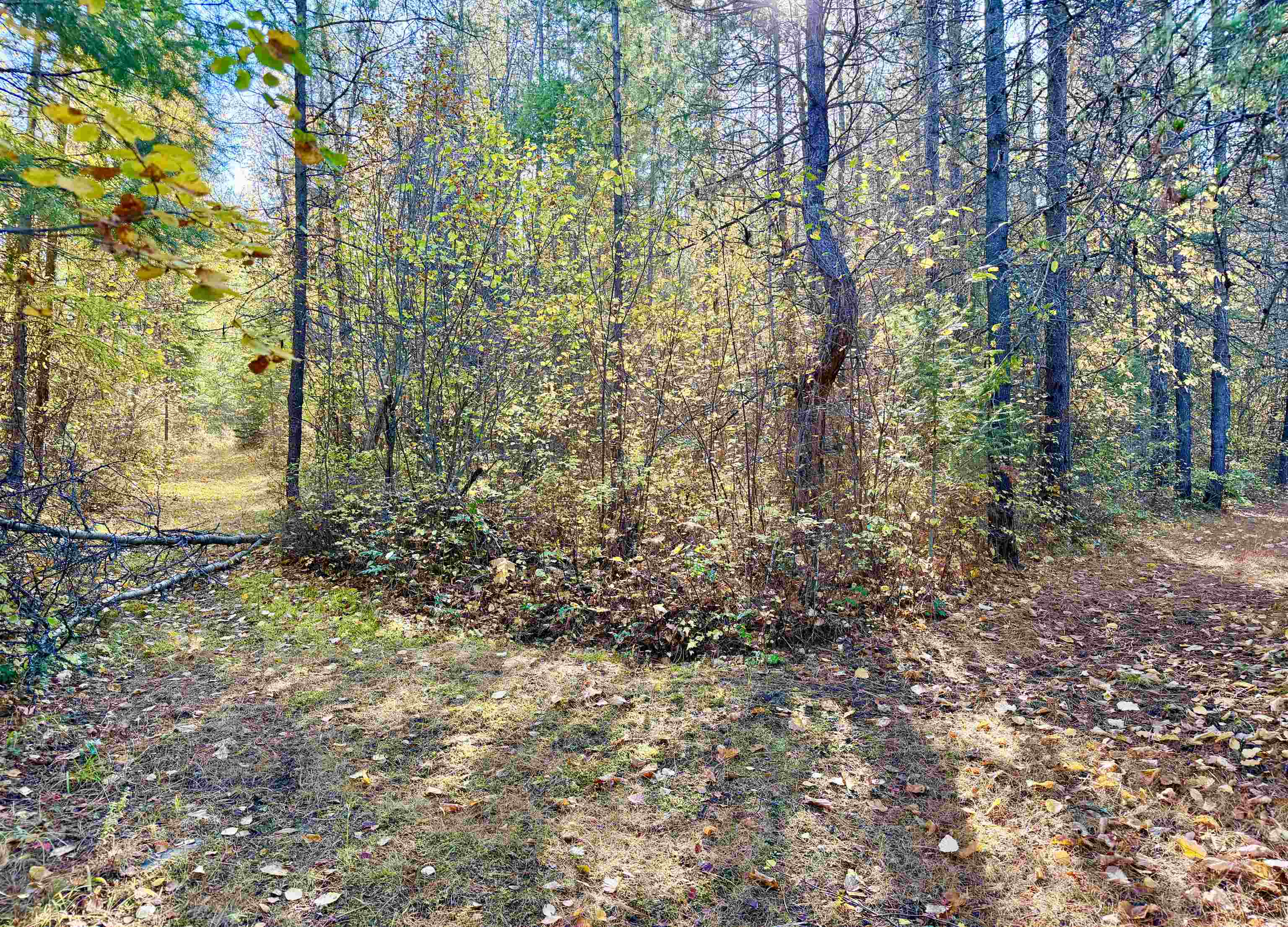 3629 Sand Creek Road Kettle Falls, WA 99141 - Photo 37 of 48