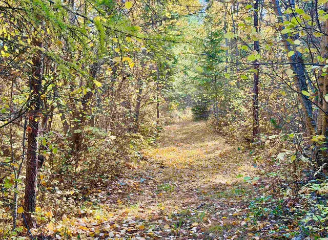 $219,999 | 3629 Sand Creek Road, Kettle Falls, WA 99141