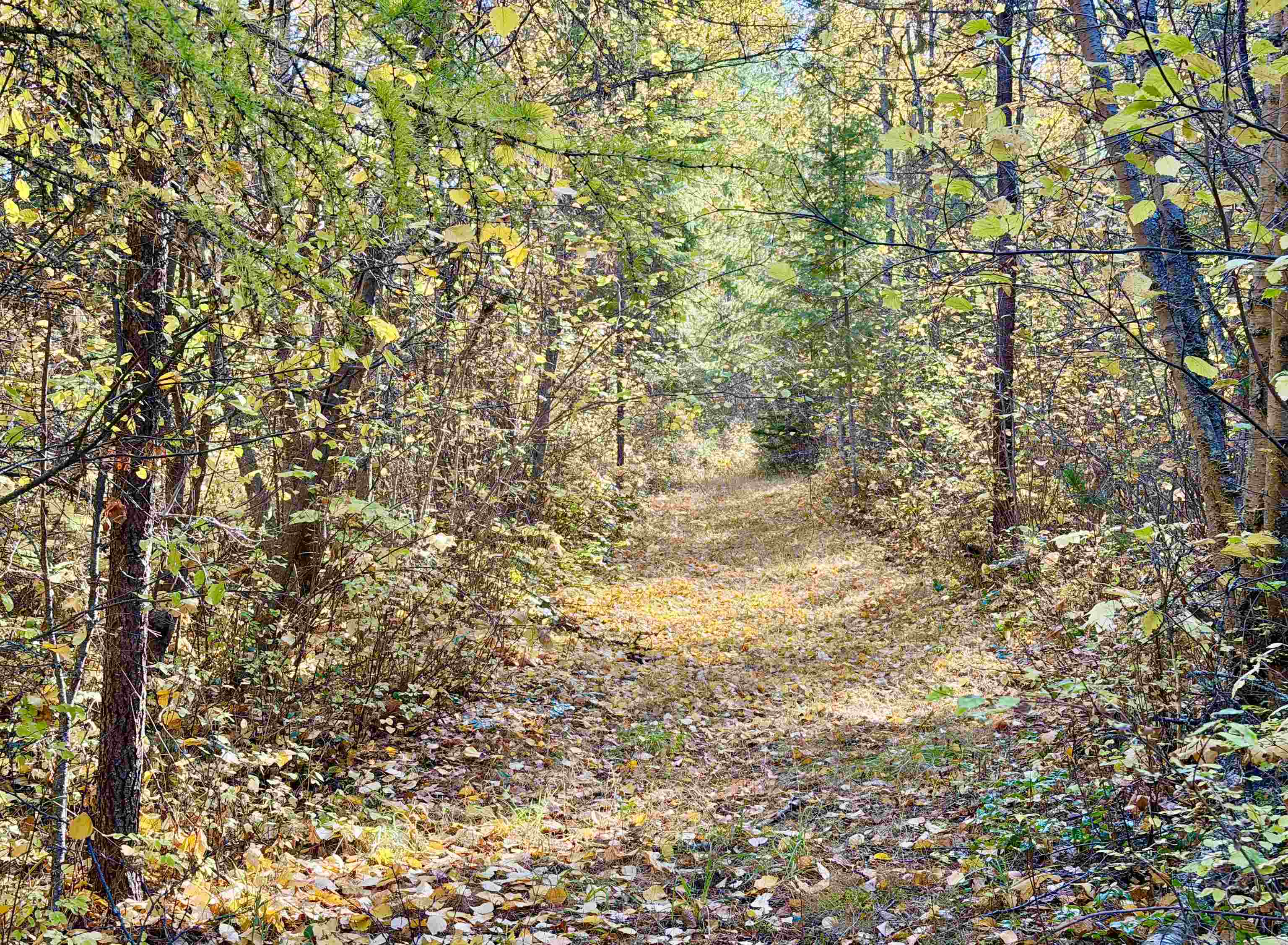 3629 Sand Creek Road Kettle Falls, WA 99141 - Photo 41 of 48