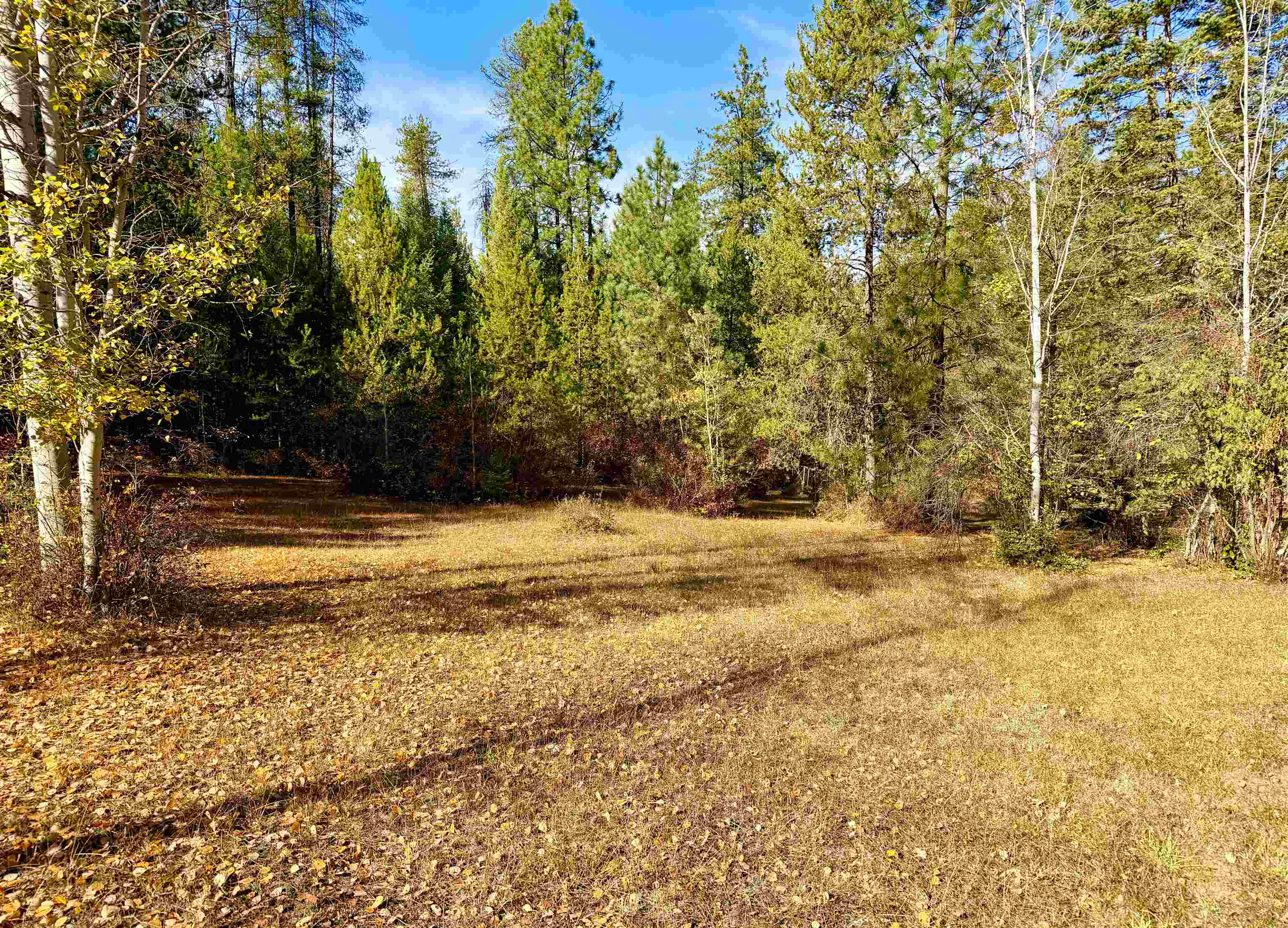 3629 Sand Creek Road Kettle Falls, WA 99141 - Photo 42 of 48