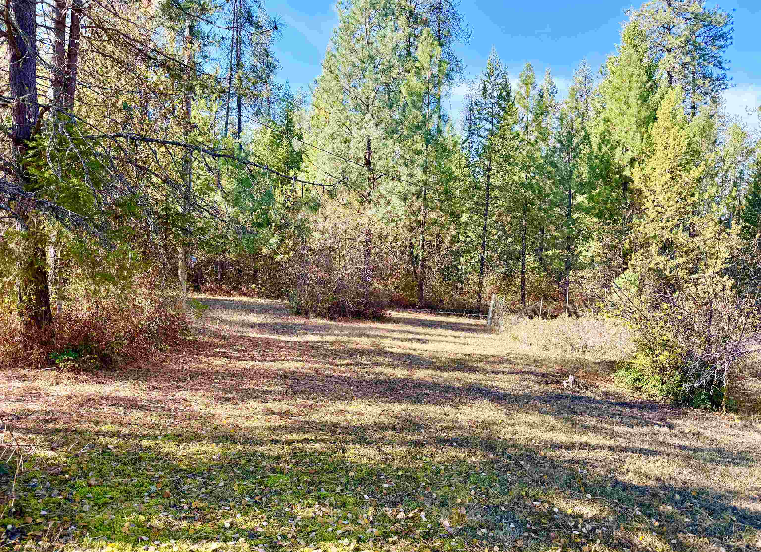 3629 Sand Creek Road Kettle Falls, WA 99141 - Photo 43 of 48