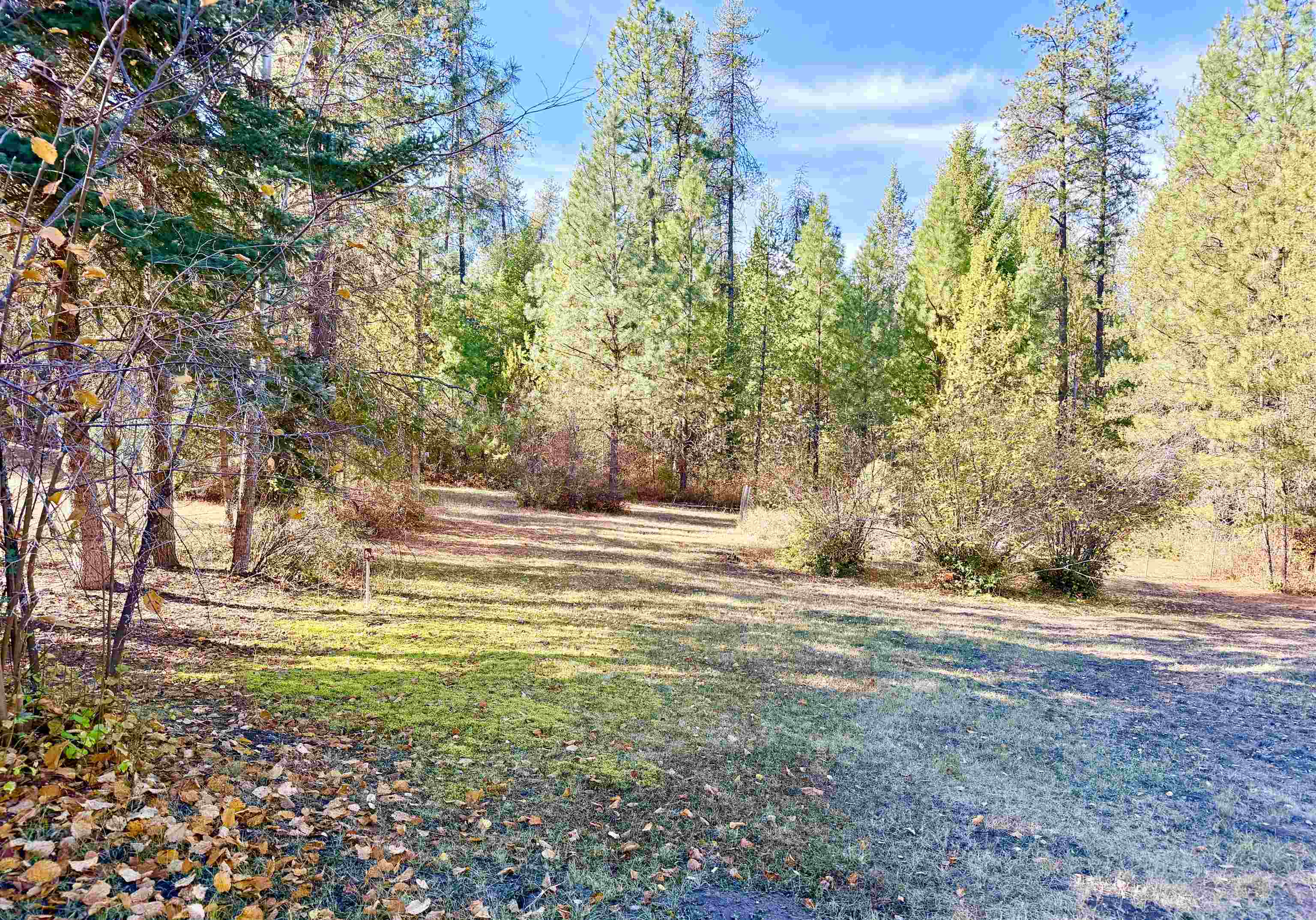 3629 Sand Creek Road Kettle Falls, WA 99141 - Photo 44 of 48