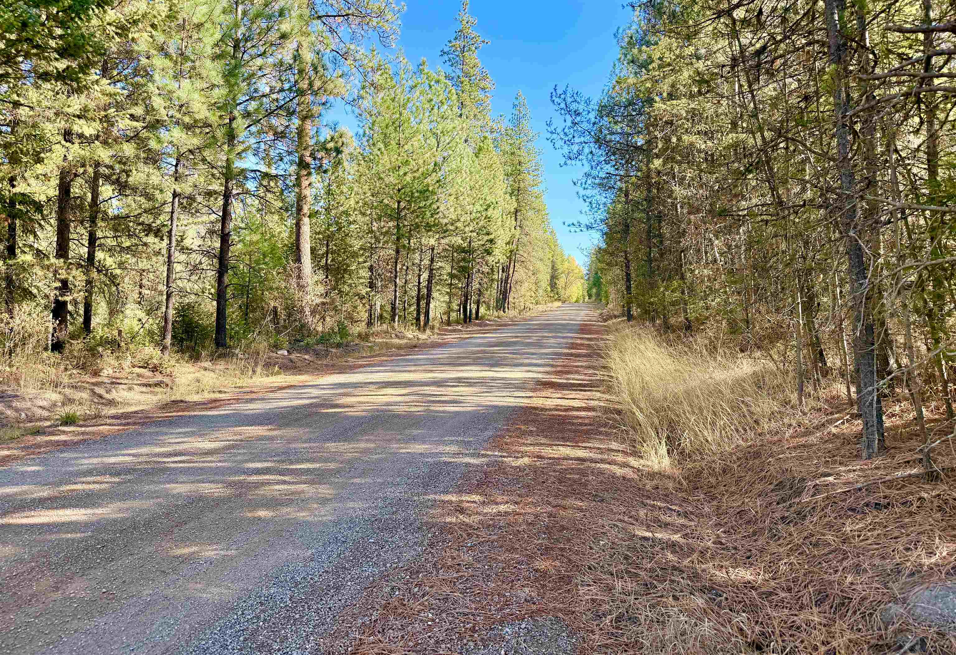 3629 Sand Creek Road Kettle Falls, WA 99141 - Photo 48 of 48