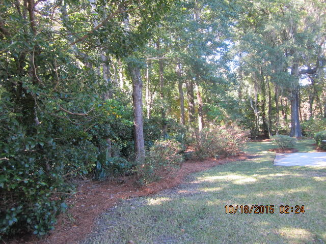 884 Farm Quarter Road Mount Pleasant, SC 29464 - Photo 39 of 48 IMG_4134