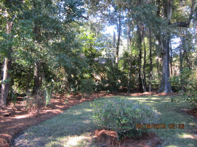 884 Farm Quarter Road Mount Pleasant, SC 29464 - Photo 43 of 48 IMG_4138