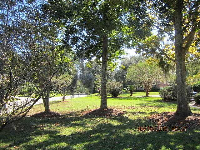 884 Farm Quarter Road Mount Pleasant, SC 29464 - Photo 45 of 48 IMG_4140