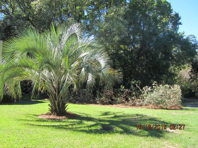 884 Farm Quarter Road Mount Pleasant, SC 29464 - Photo 46 of 48 IMG_4141