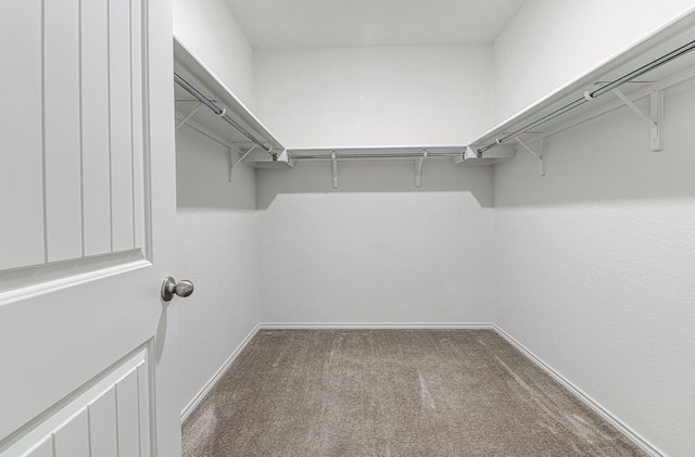 1237 Volente Lane Leander, TX 78641 - Photo 15 of 22 Ample shelving and hanging space defines this generously sized walk-in closet.